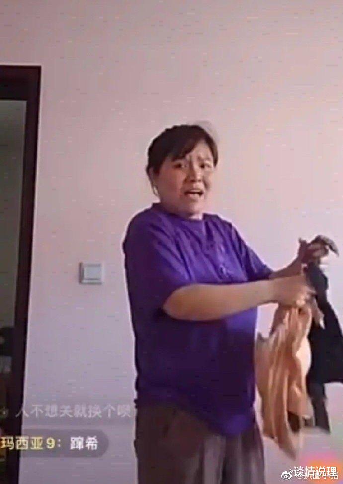 娱乐圈|娱乐圈大扫荡后：郭老师被全网封杀，低俗网红正在被全面清理