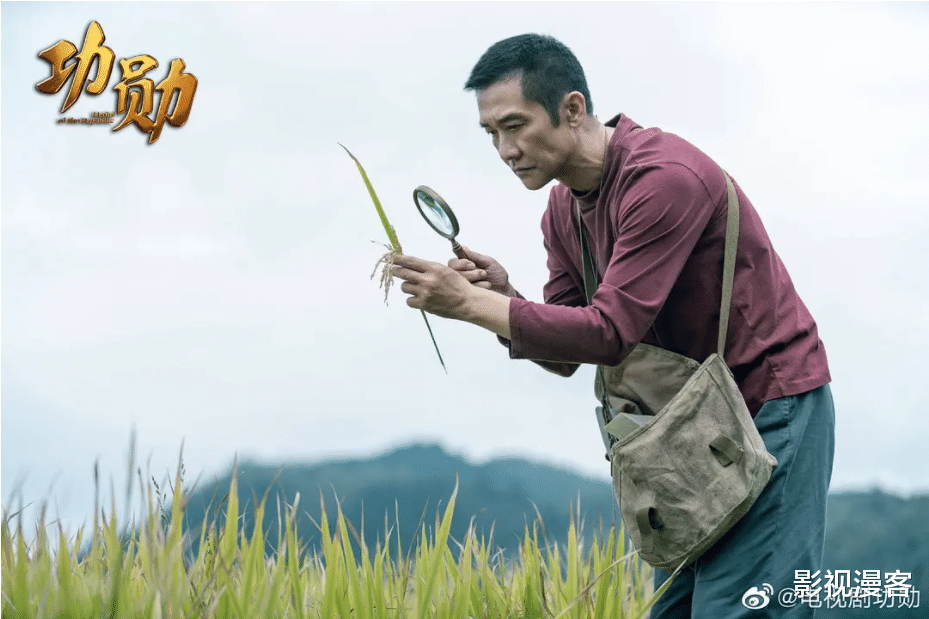 赵丽颖|神仙阵容《功勋》开播获好评：媲美觉醒年代！强推！！