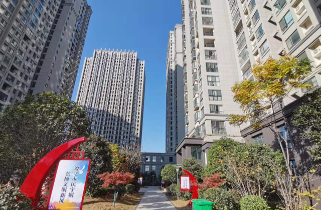 南阳|南阳“302”现状：革命尚未成功