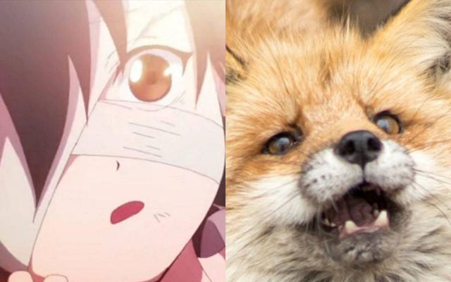 狐狸|《天官赐福》花城像小狐狸,笑起来好可爱,快点开口喊哥哥!