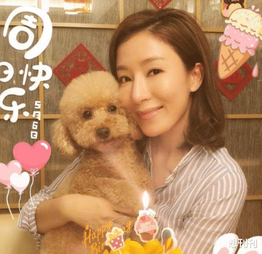 整容|整容风刮到香港，这7位港圈大美人竟跑去DO脸上，结局一言难尽