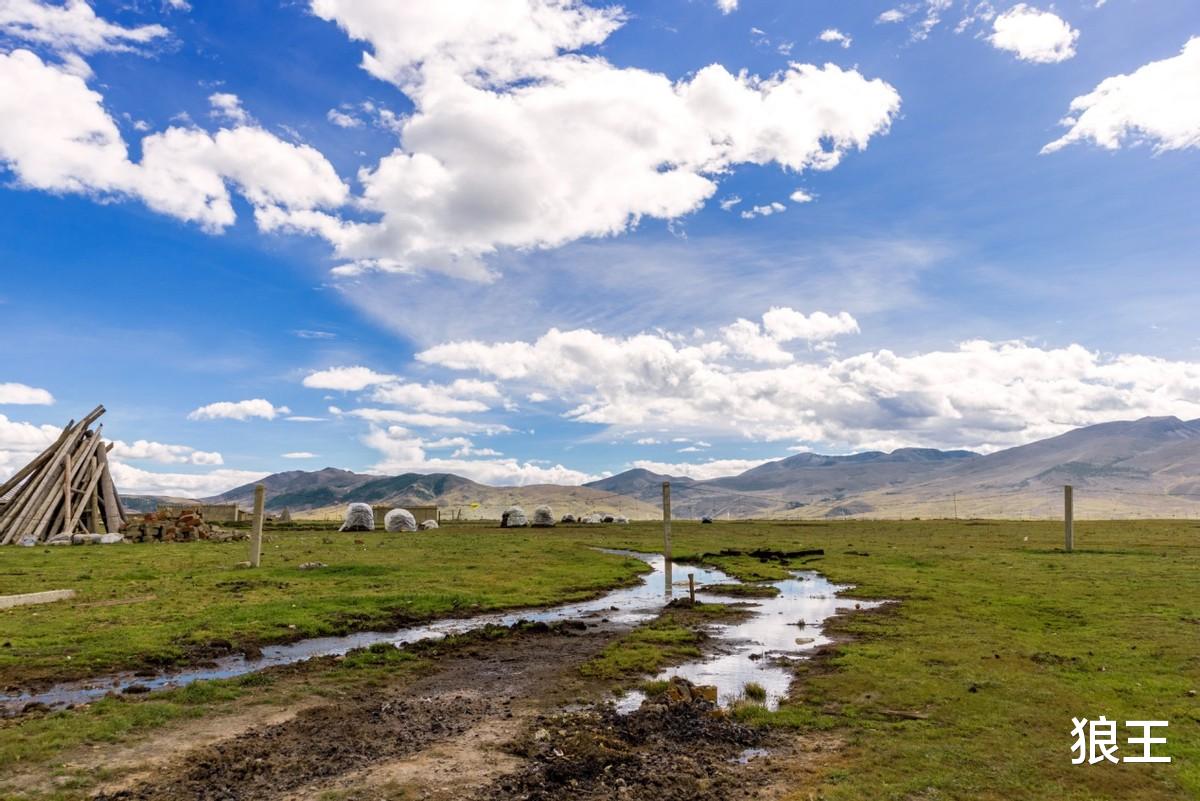 狼王|女子轰走了想鸠占鹊巢的小叔子一家,还是做恶人自己心里痛快!