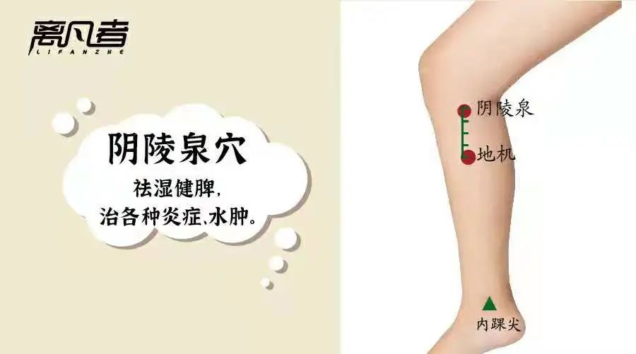 睡眠|学习“揉脾经”，能揉掉很多慢性病。