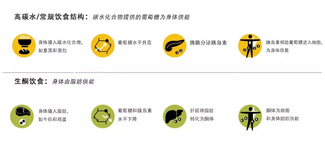 饮食|用生酮减肥半个月没有用怎么办？