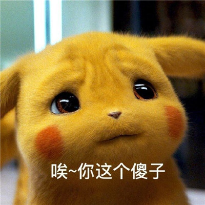 桉月|表情包：再也不做舔狗了