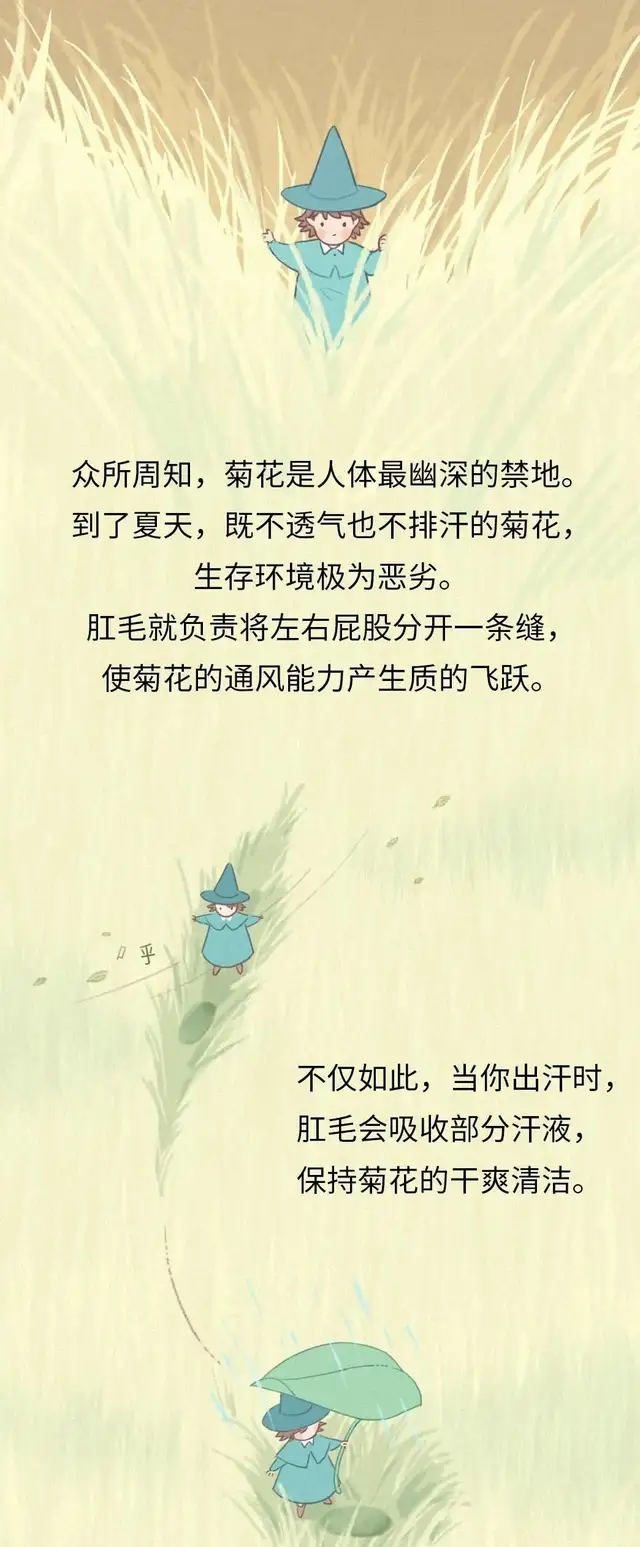 漫画|为什么人会长“屁屁毛”？若是刮掉会怎样？涨知识了！（漫画）