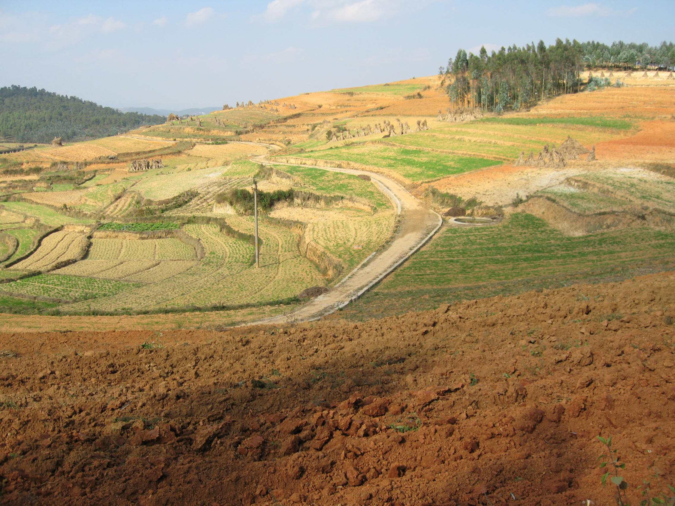 大话三农八卦 土地承包期限延长,新媳妇,新生儿将无耕地?国家是这样规定的