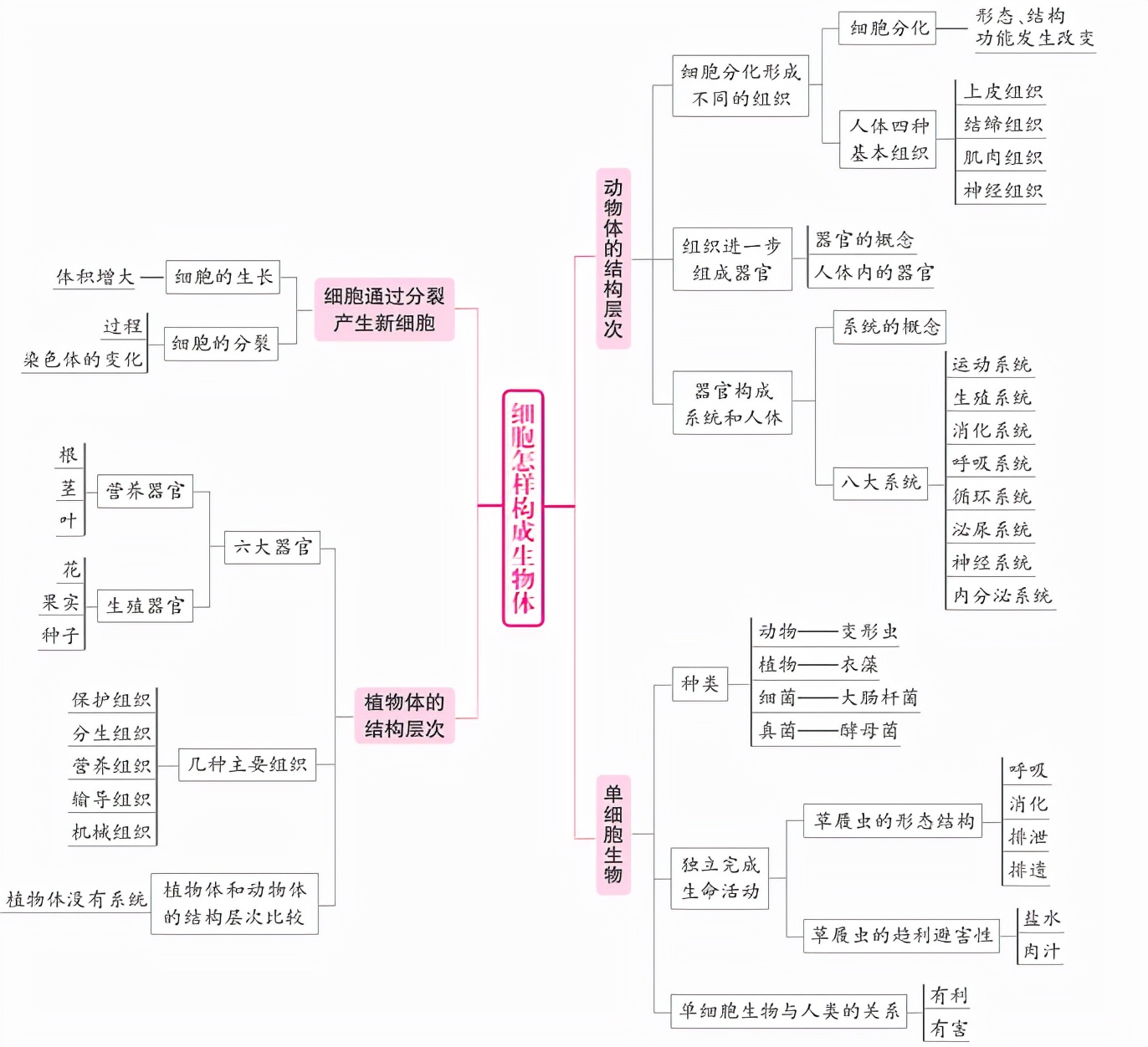 中小学|初中生物：各章节概念知识框架图，妥妥的满分资料！