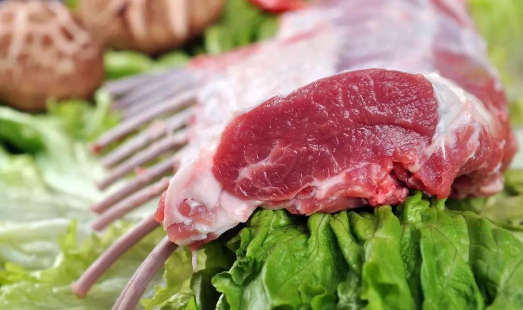 情微说|骆驼群里混进“间谍”，暴露位置引来猎手屠杀，4年已消灭16万