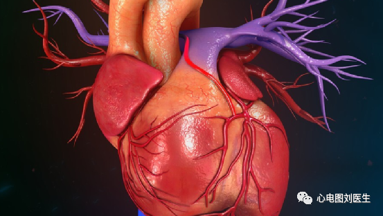 心肌梗塞|48岁女子心梗离世,医生叹息:更年期女子出现3种异常,早查心脏