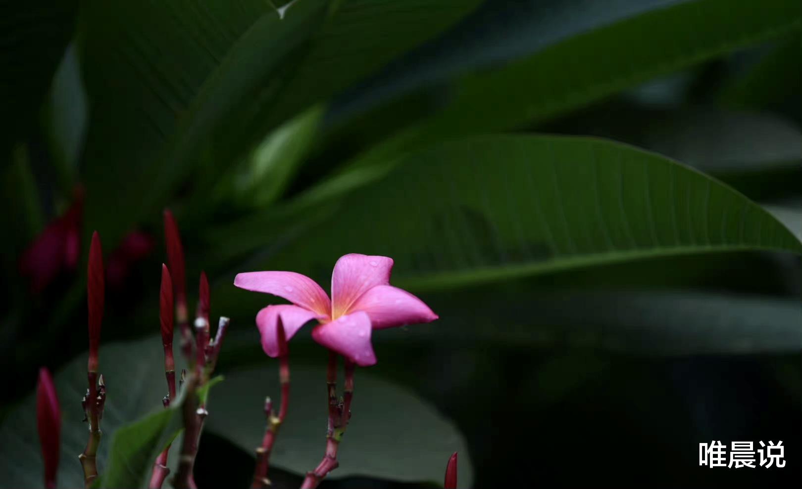 唯晨说 无论关系多好，在这4件事上都要守口如瓶
