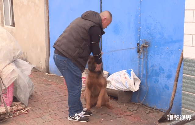 眼鉴视界 黑龙江肇东：家中养了2年的狗突然发狂，老人手臂直接被咬折