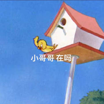 桉月|表情包:小哥哥在哪靓仔出gai ???