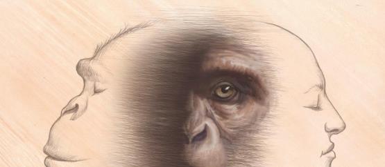 二氧化碳 黑人基因与白人、黄种人哪个更近？基因相似度或解开人类起源之谜