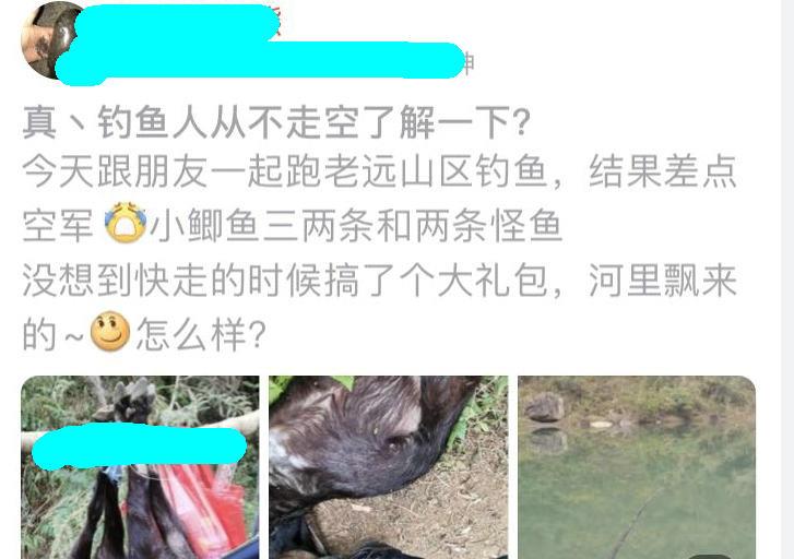 大理|山里钓鱼结果抬回来一头羊，钓友称是河里漂来的，网友：你很可疑