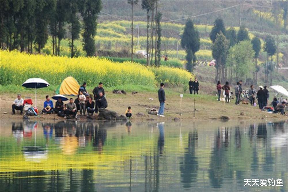 |家里“领导”不让钓鱼？把这篇内容给她看，请假成功几率飙升！