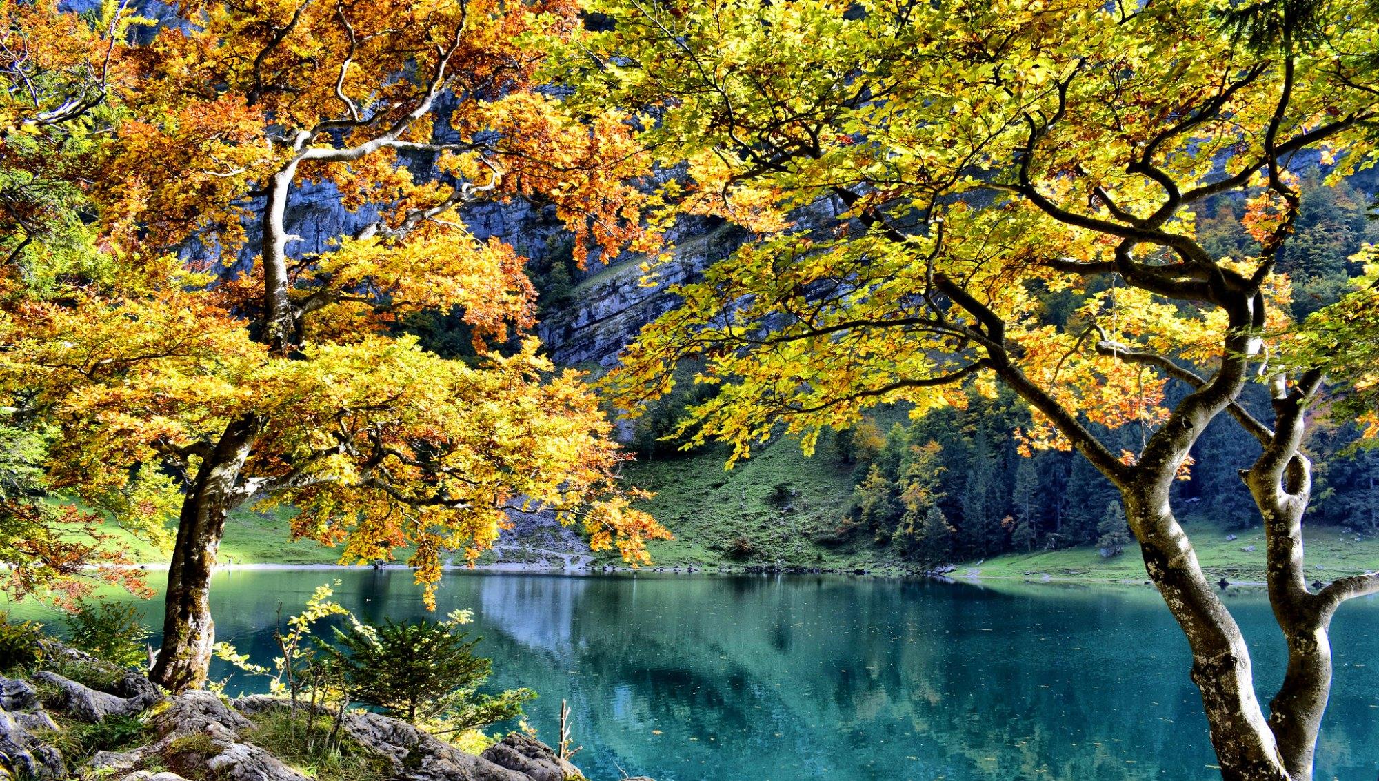 奶球妈咪聊|自来水能直接喝的国家,美英日德上榜,华人:不过滤不煮坚决不喝