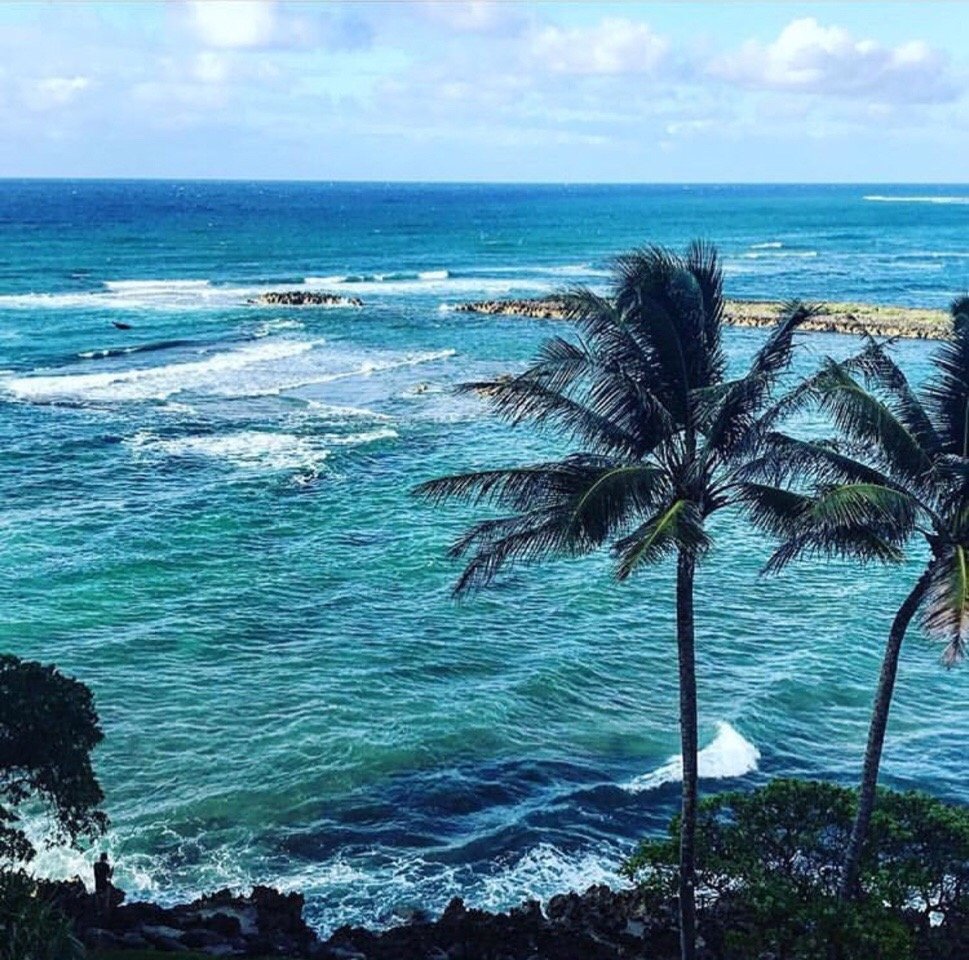 三句情话文案|最美的风景和最坏的结果,你我都曾遇到过,却仍然在努力生活