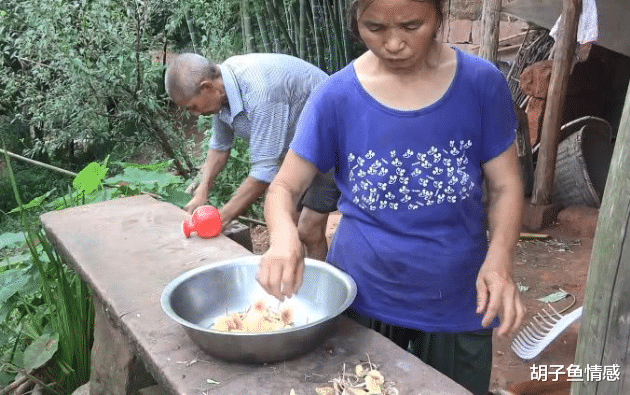 胡子鱼情感 再婚老人拿出前夫衣裳给现任穿，65岁丈夫：离婚吧，我不是替代品