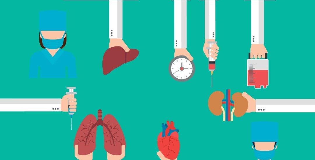科学家 为什么现在很少提“克隆”了？看了“多莉”的一生，或许你会明白