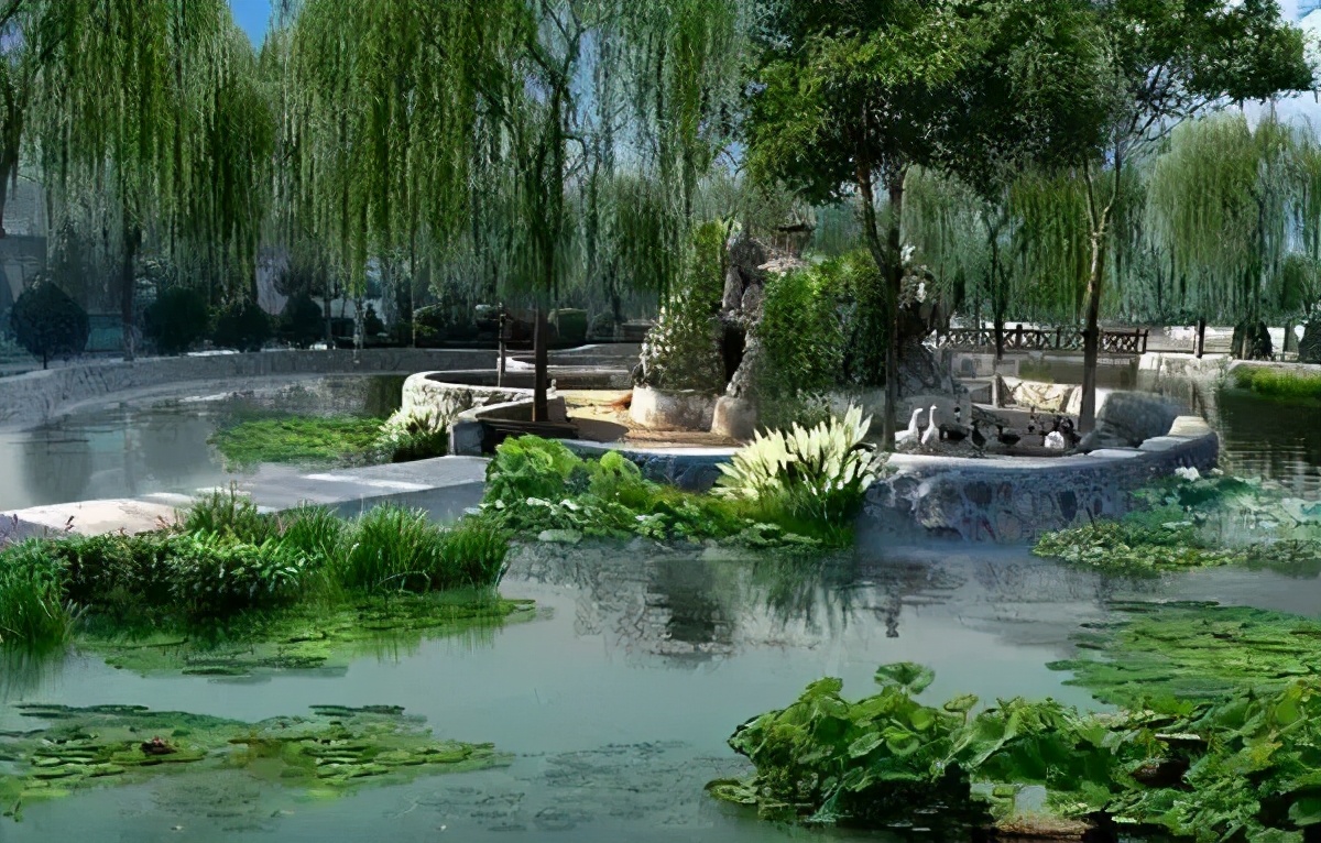 |8种常见的庭院水生植物，让庭院水景不再单调