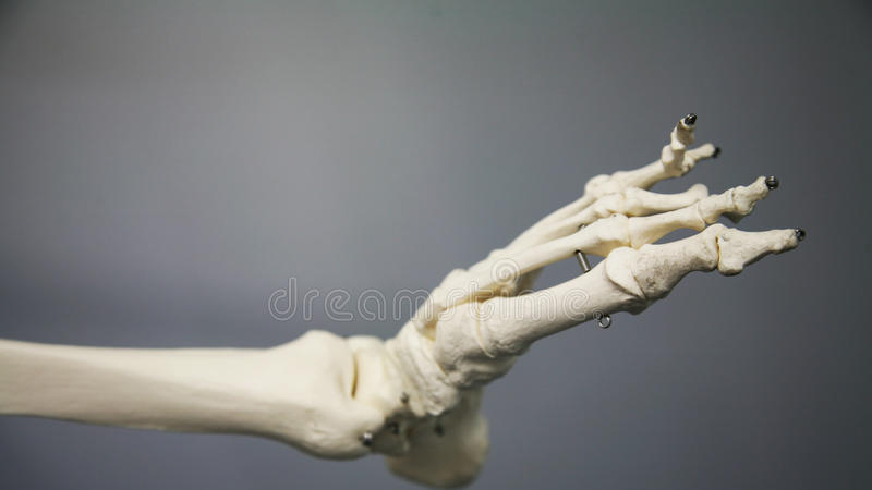 谈健|年过50岁之后，我们该注意哪些高发疾病？医生一文说清