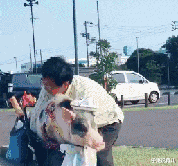 学姐说育儿|“记得以前背书的时候是登黄鹤楼,怎么变成鹳雀楼了”