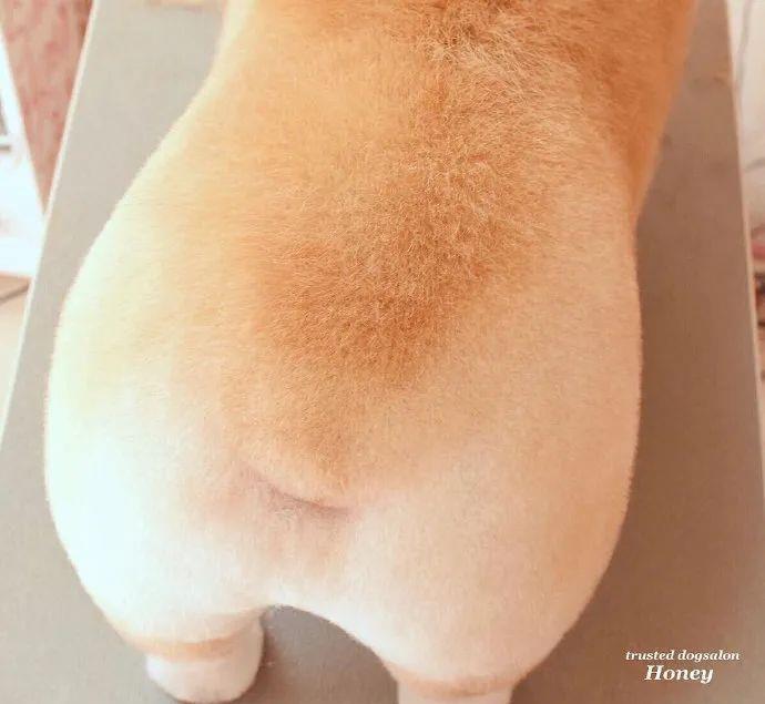 美容师|千万不要相信Tony老师的“创意”,不然…噗哈哈哈