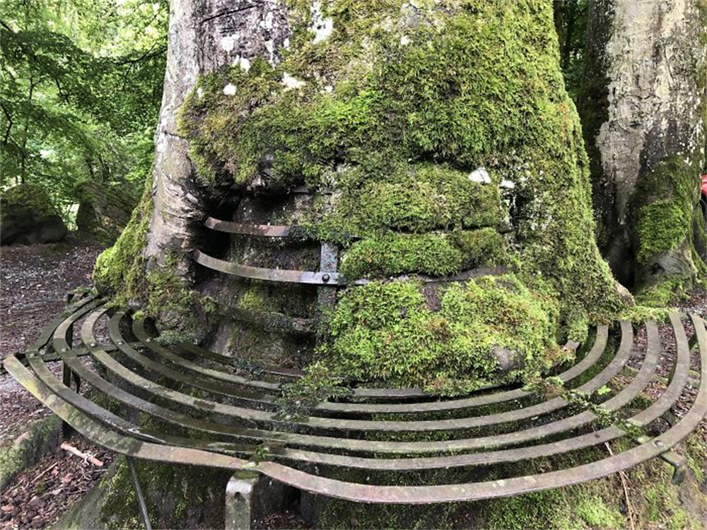 化石 34个被人类遗忘的角落，最终被大自然无情反噬