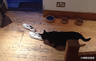 小琳解说星座|“美女，出门前还是注意下穿着吧，你旁边的闺蜜都不好意思看了！”哈哈哈