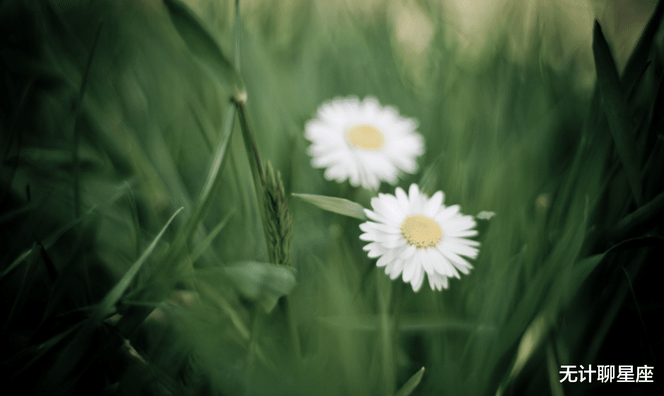 运势|30天后，得贵人指点的4个星座，实现自我价值，让人刮目相看