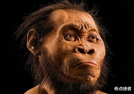 为何类人猿没尾巴?或与2500万年前基因突变有关,人类也是变异生物