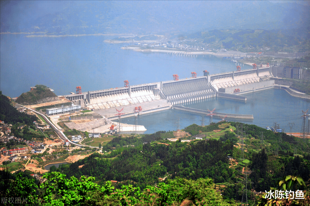 三峡大坝|淡水鱼的“天堂”，三峡水库中的鱼超过27年没有捕捞，能长多大？