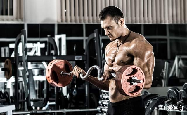 健身|为什么说手臂孤立训练没有必要呢?