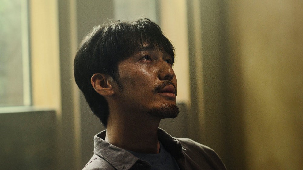 马伊琍|《前半生2》没来,却等来马伊琍又一大剧,男主是小14岁当红男神