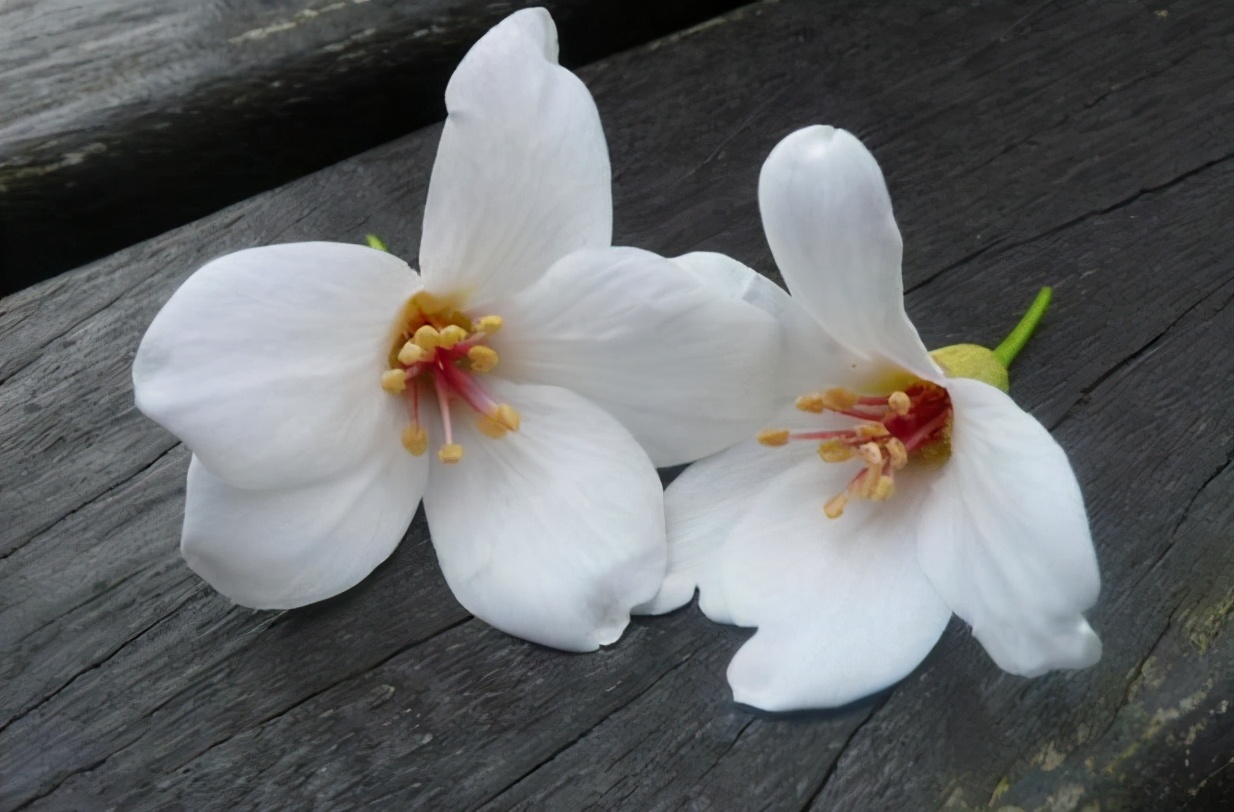 布衣粗食|人老了，能否安度晚年，藏在“细节”里