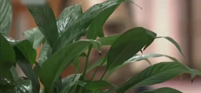 广信|男子应聘夜场男公关梦想发大财，结果不过是中了别人的诈骗套路