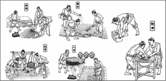 神秘的猛犸象 中科本元丨科学家带你走进微生物的世界