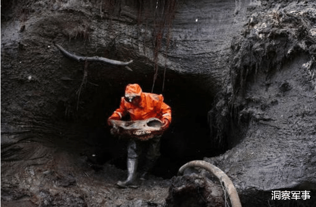 象牙|最独特的职业，收入达上千万，每年还有300多天休息