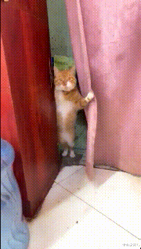 学姐说育儿|“兄弟们，我这是不是要截肢啊...”连腿都截掉最好！！