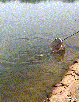 美人閣 我們工地都成了快樂的游戲場，哈哈哈