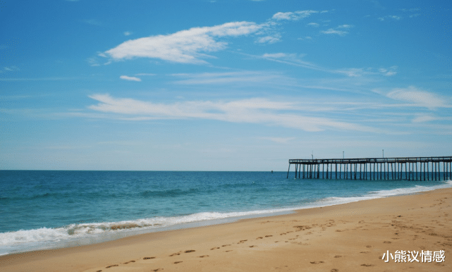小熊议情感|哈弗教授给的5条建议,让你越来越“优秀”