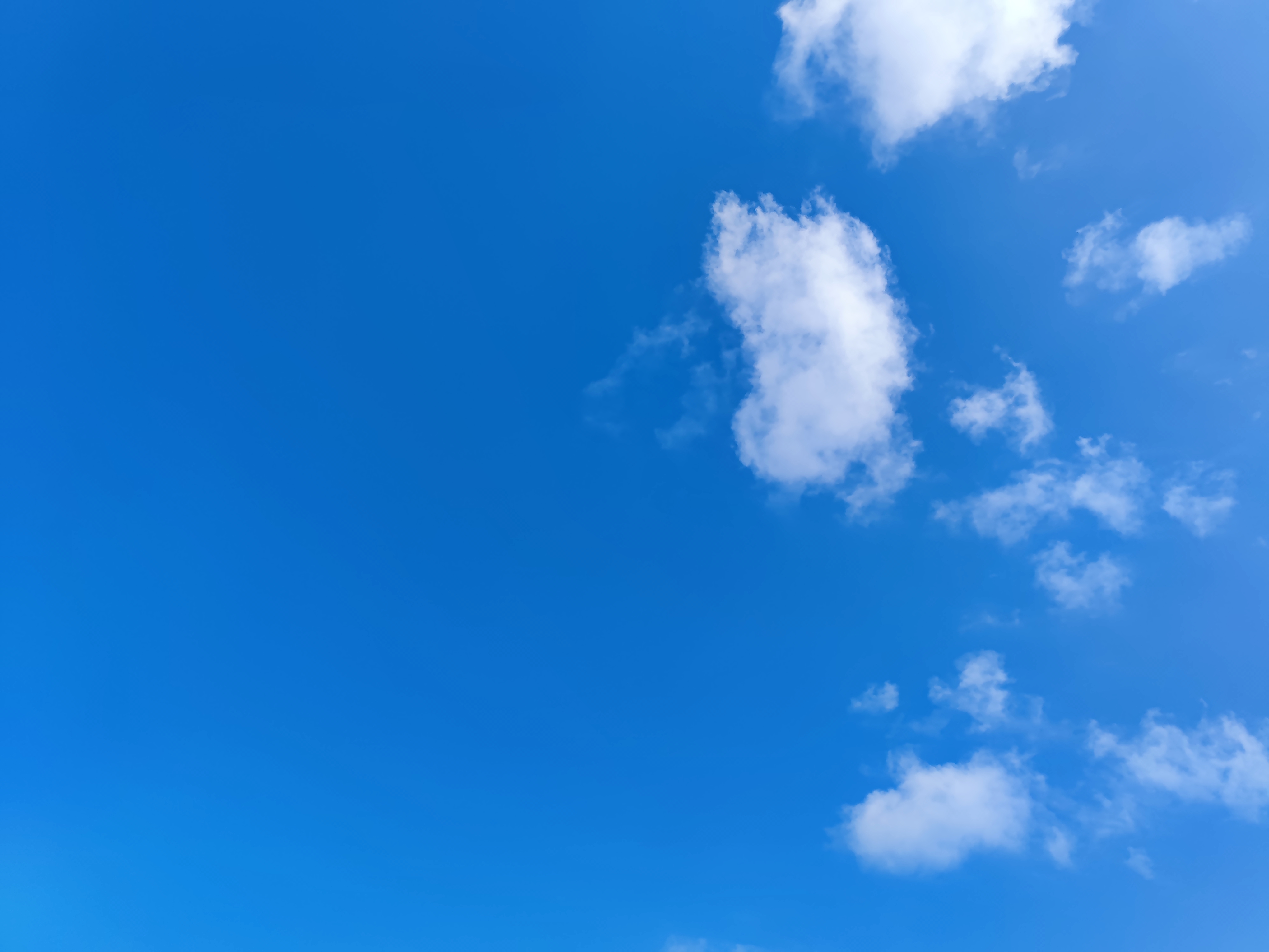 交易 阳娱有致之吴某凡涉嫌犯罪！刑拘！严惩之！