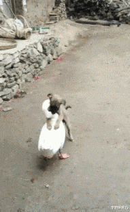 学姐说育儿|“你以前做过最羞耻的事情是什么?”女朋友的回答太tm积极了!