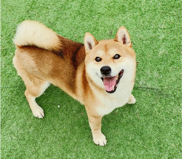 小h|《向往的生活5》来了！导演直言小H该上班了，这会是马尔代夫吗？