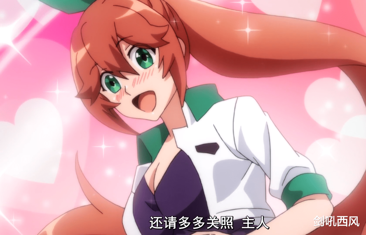 马鹿|进化果实：赛马娘？不，这是驴娘！