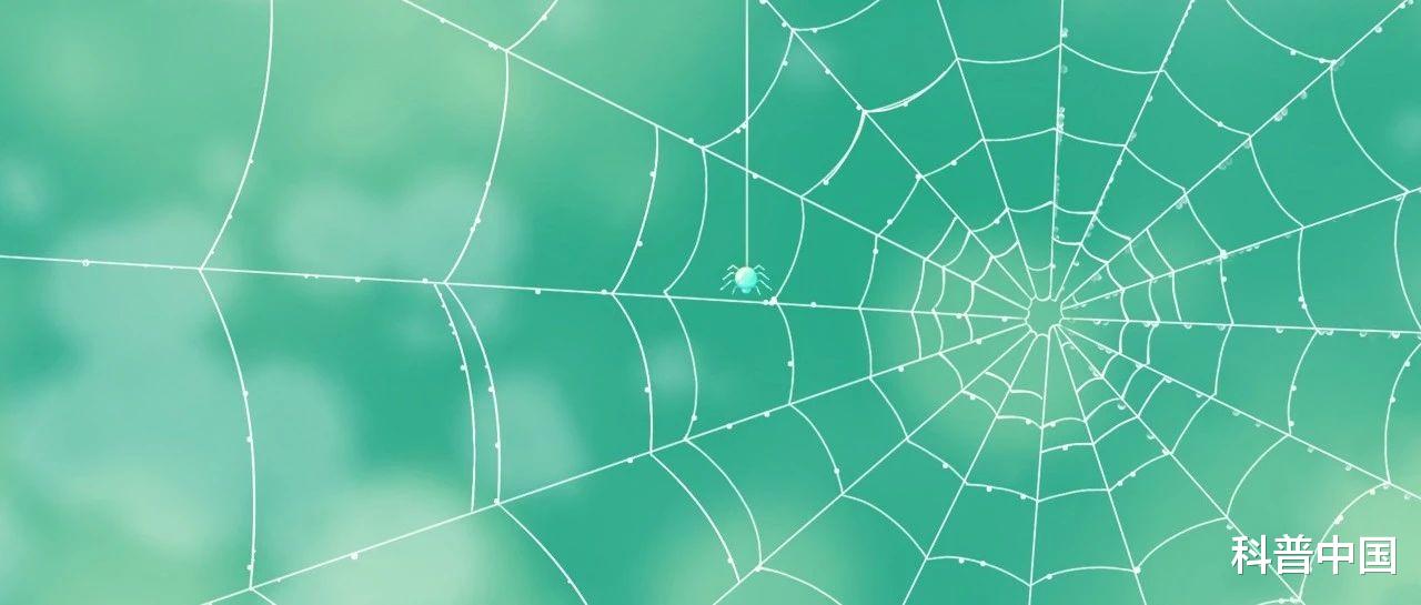 蜘蛛 颠覆！原来蜘蛛的丝不是吐出来的，而是…被骗了好多年