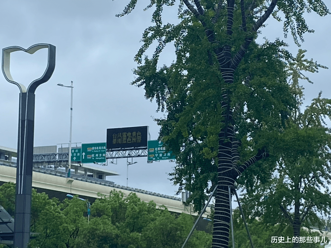 教练 阿里女员工事件张某妻子发声质疑，公众而言，被动上了复杂的一课