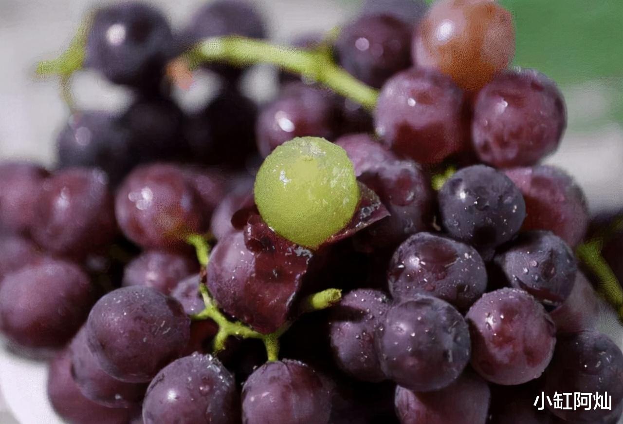 紫薯|女人想要不显老，5种花青素含量高的食材别错过，气色红润显年轻