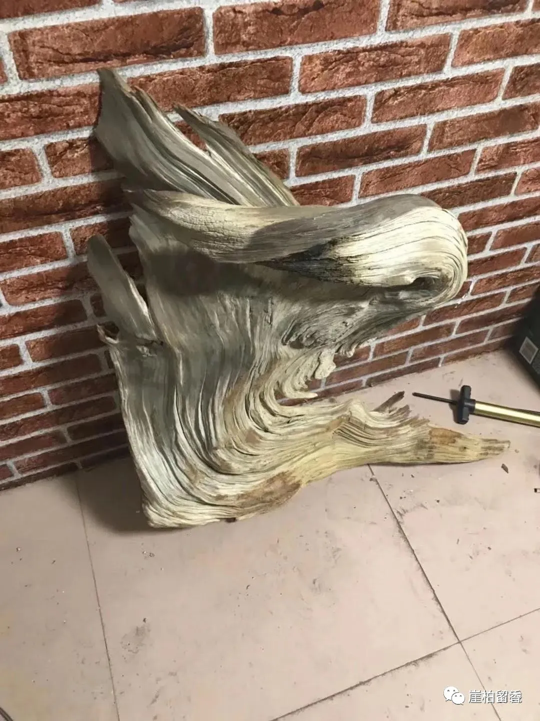 于田|这样的太行崖柏哪里有呢?